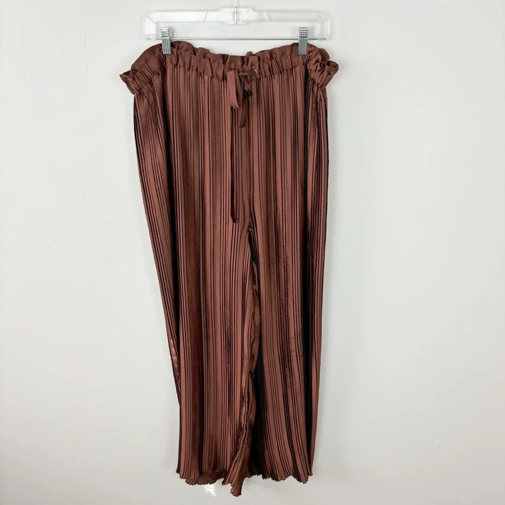 Anthropologie High Waisted Plissé Wide Leg Pants Brown Size XL - Picture 1 of 9